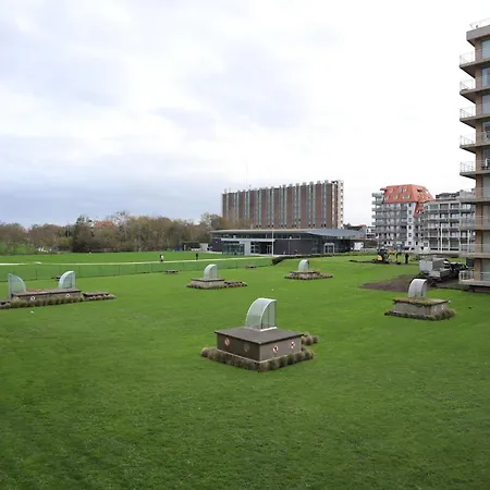 In Near The Marina *