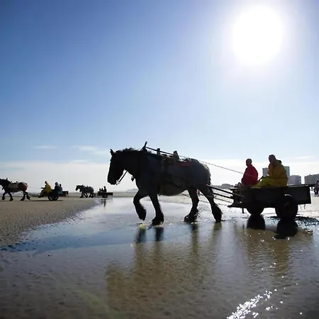 Appartement In Near The Marina Nieuwpoort