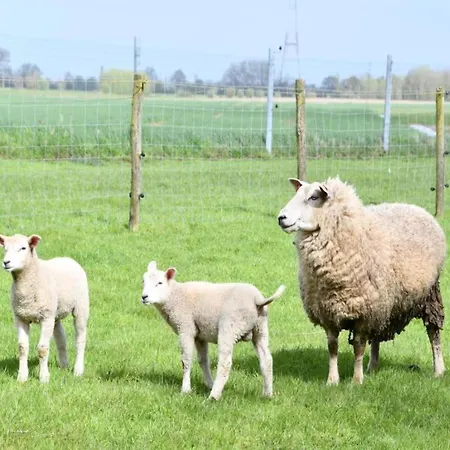 In Near The Marina Apartmán Nieuwpoort