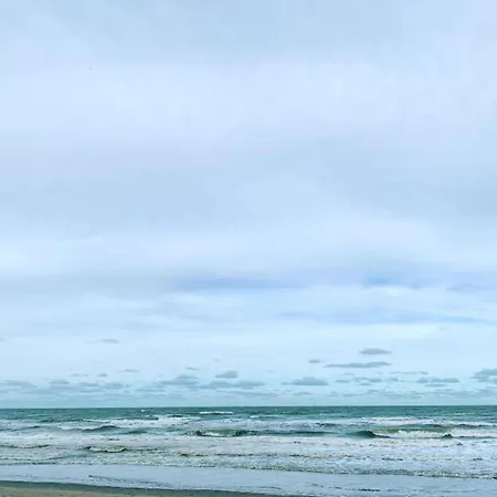 In Near The Marina Apartmán *